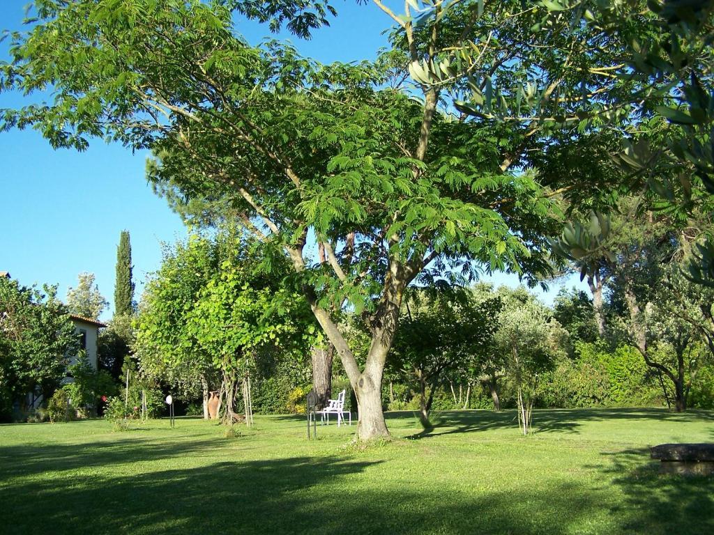 Ortali Country House Quarata Kültér fotó